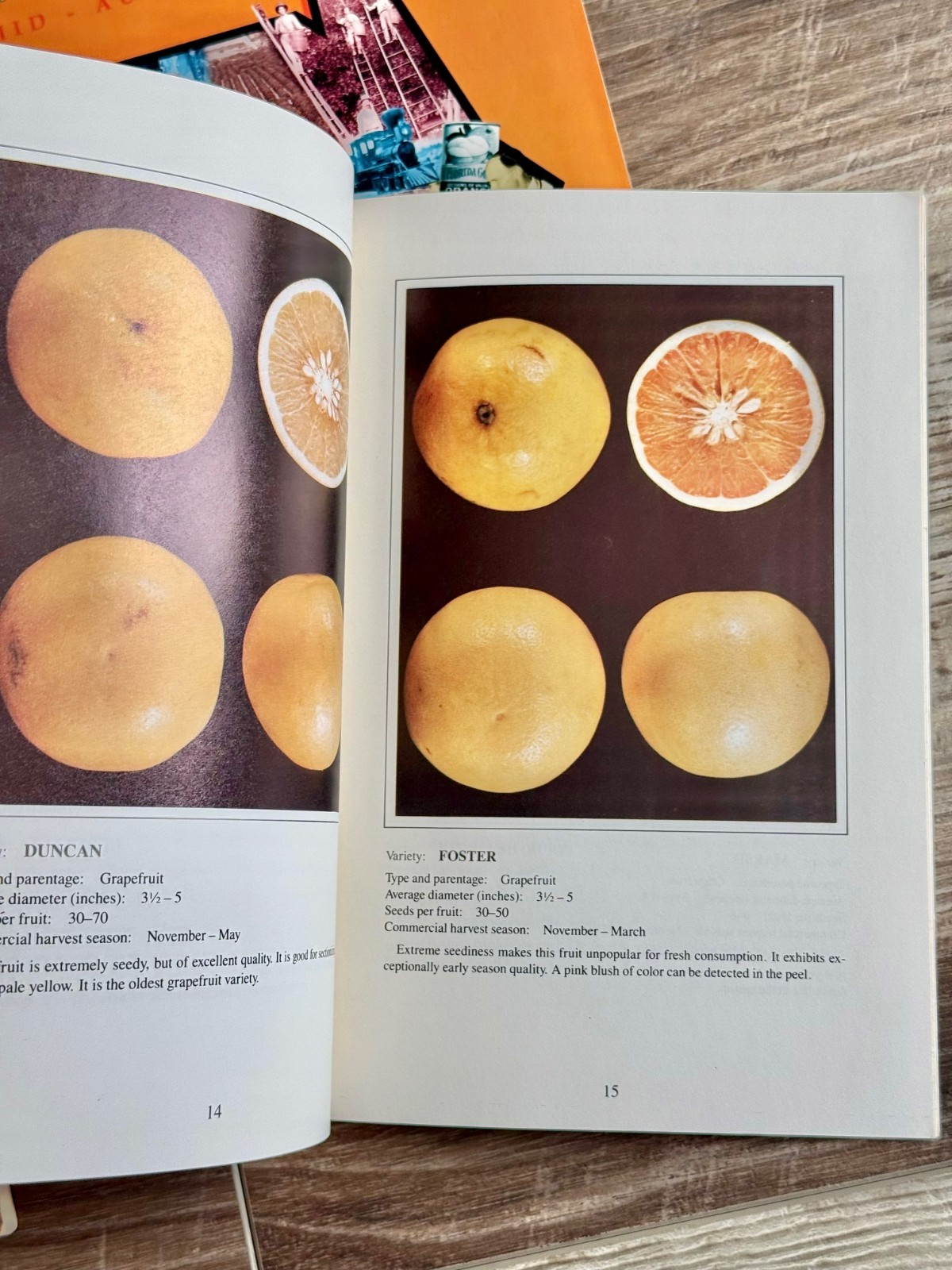Lot of 3: COMPENDIUM OF CITRUS DISEASES; Citrus related Magazine & Circular 502
