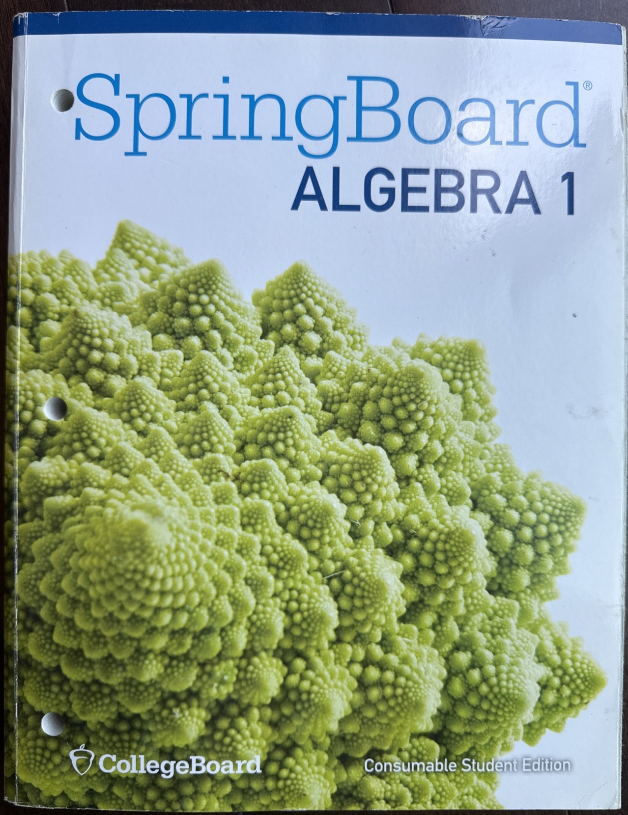 Springboard Mathematics by College Entrance Examination Board Staff
