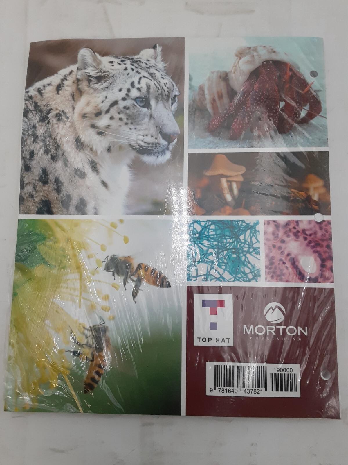 Principles of Biology II Lab Manual 2E Coastal Alabama Com College 9781640437821
