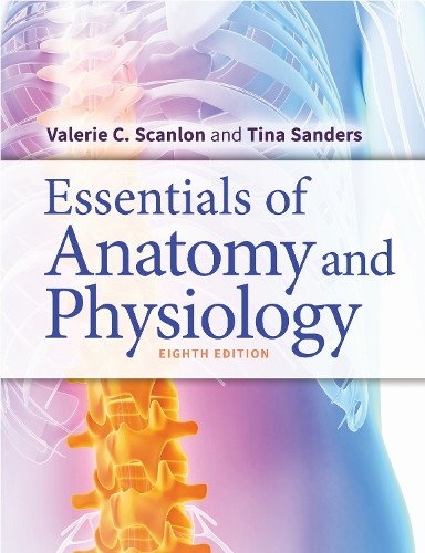 Valerie C. Scanlon Tina S Essentials of Anatomy and Phys (Paperback) (UK IMPORT)