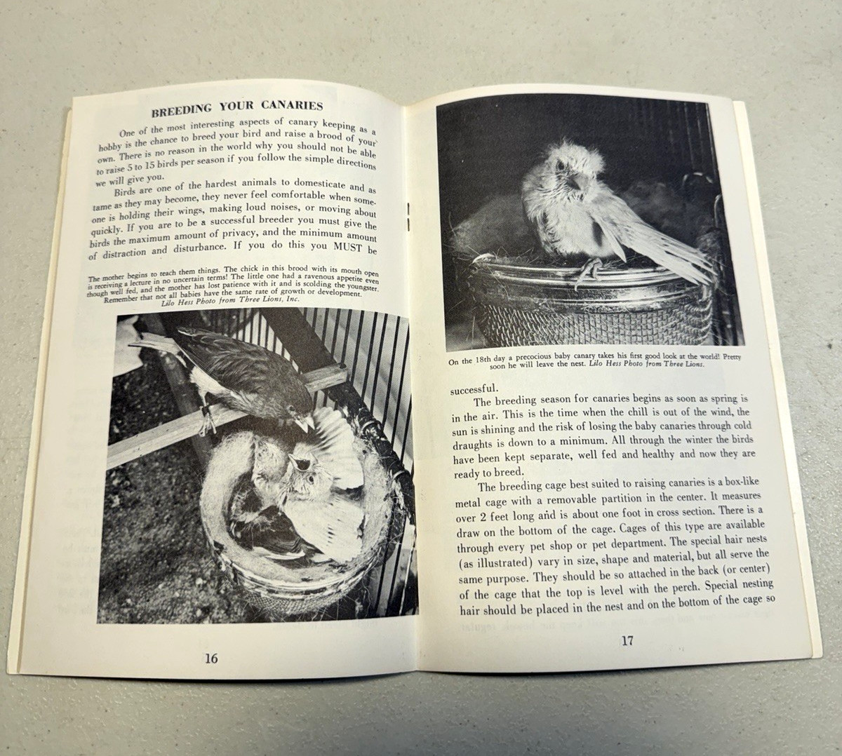 Birds Birds Birds (5): Boreal Birds of North America/Birds in Bloom/Canaries…