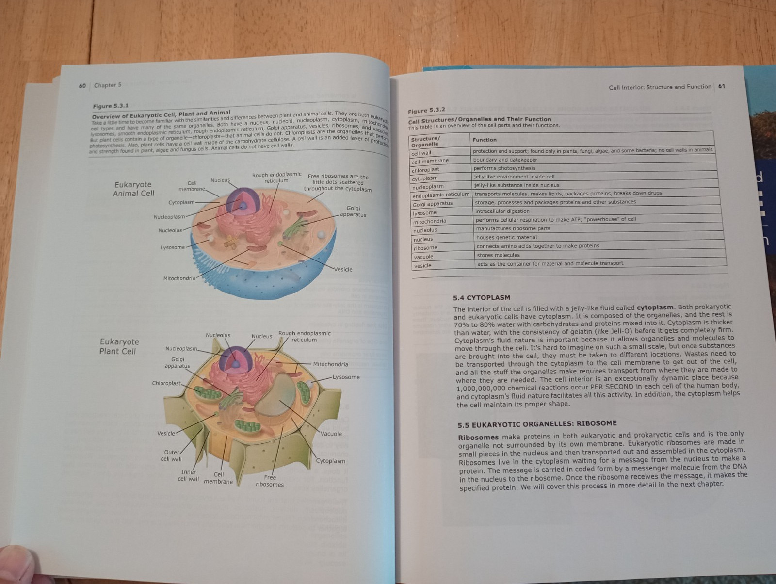 science shepherd life science 2nd edition textbook, answer key, parent companion