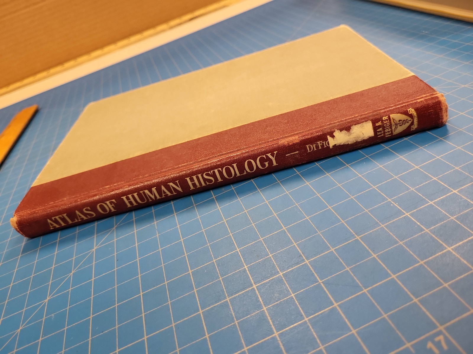 Atlas Human Histology Di Fiore 1957 Medical Anatomy Textbook Lea Febiger Plates