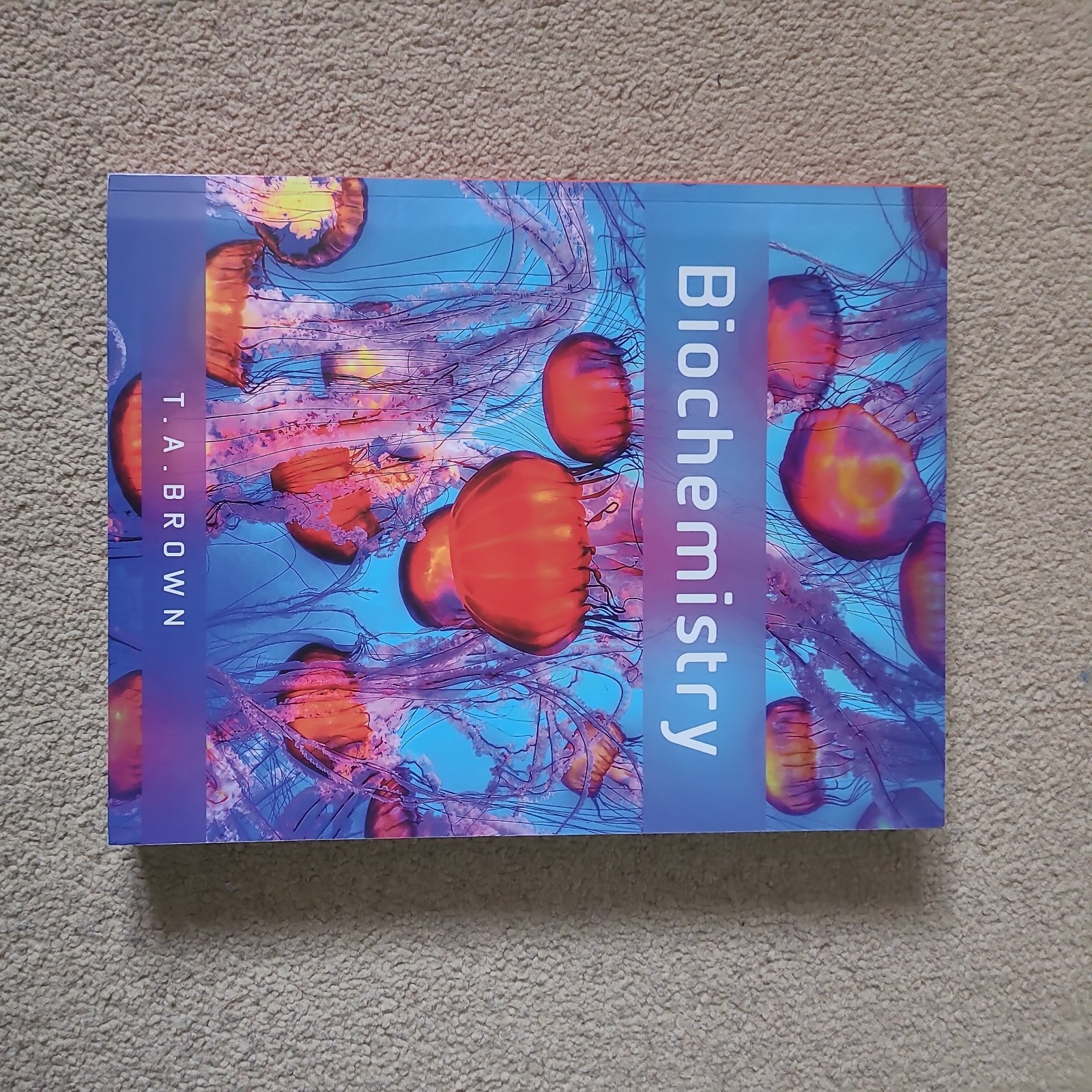 Biochemistry by Terry Brown (2016, Trade Paperback)
