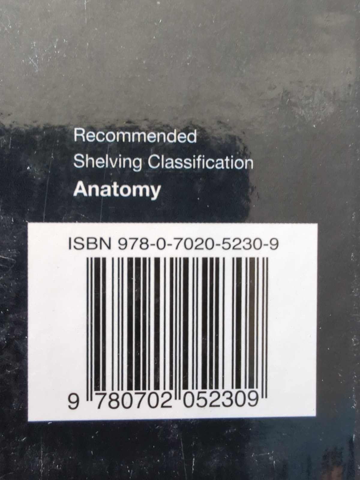 Gray’s Anatomy Ser.: Gray’s Anatomy : The Anatomical Basis of Clinical Practice