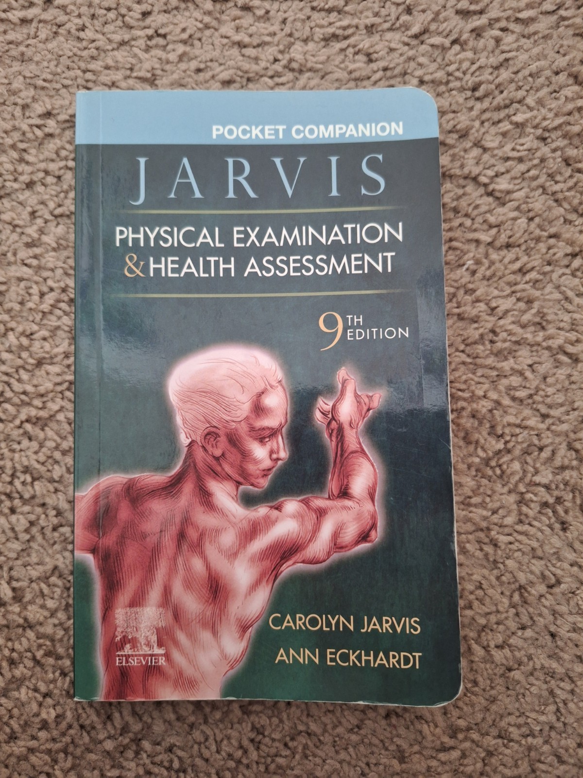 Jarvis Physical Examination and Health Assessment Pocket Companion 9th 2024
