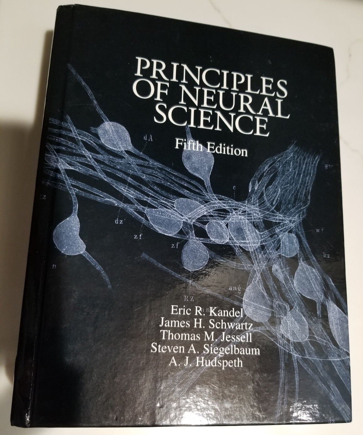 Principles of Neural Science, Fifth Edition by Thomas M. Jessell, Eric R….