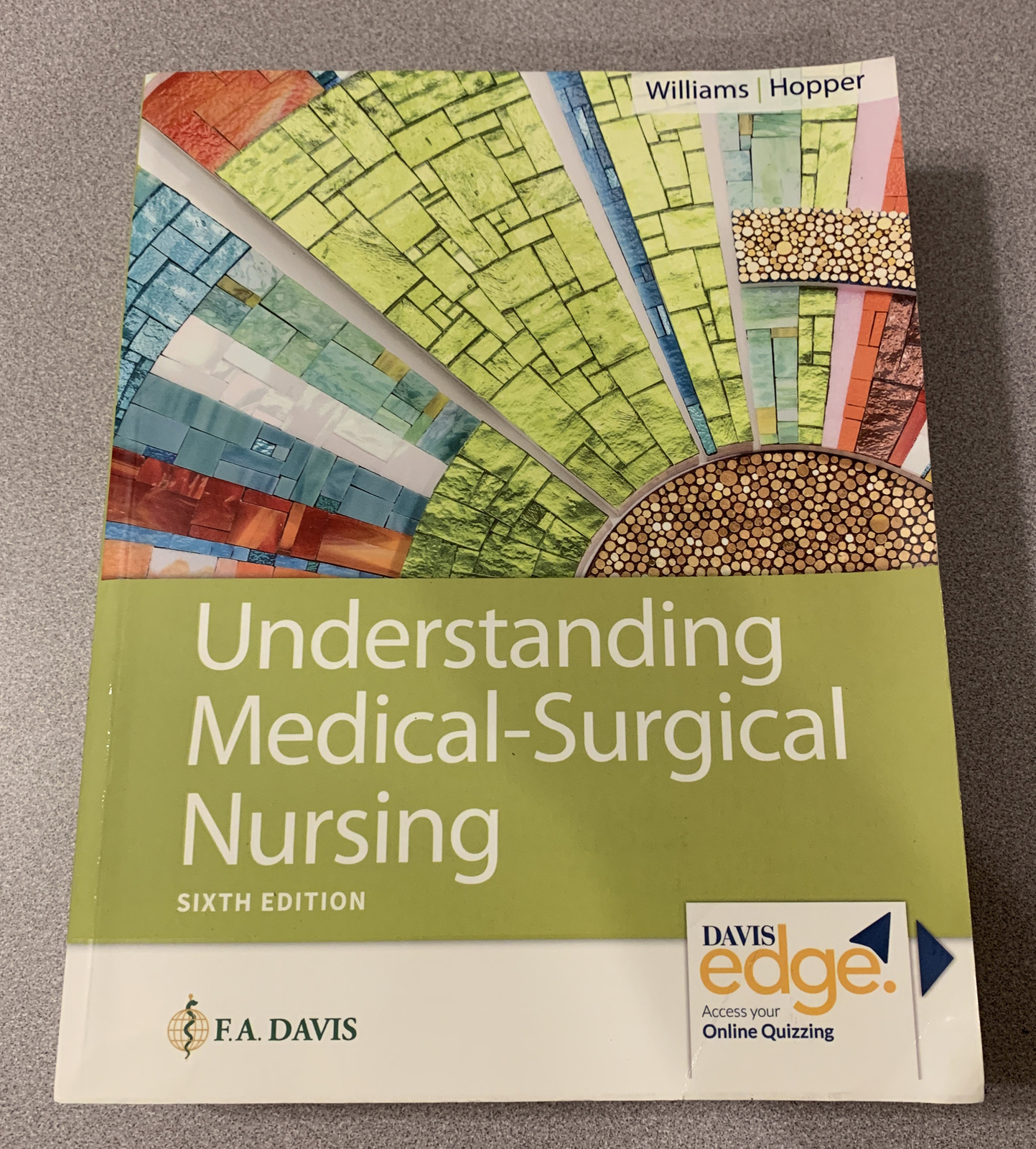 Understanding Medical-Surgical Nursing by Paula D. Hopper and Linda S. Williams