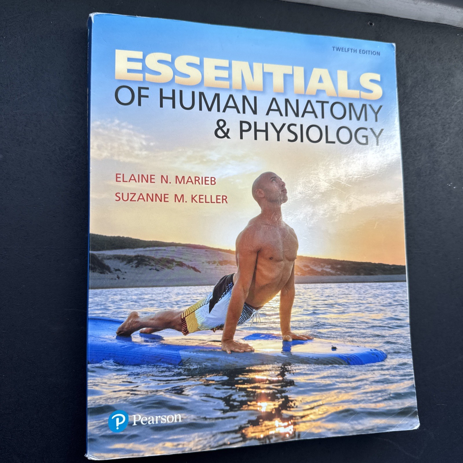 Essentials of Human Anatomy and Physiology by Elaine Marieb and Suzanne…