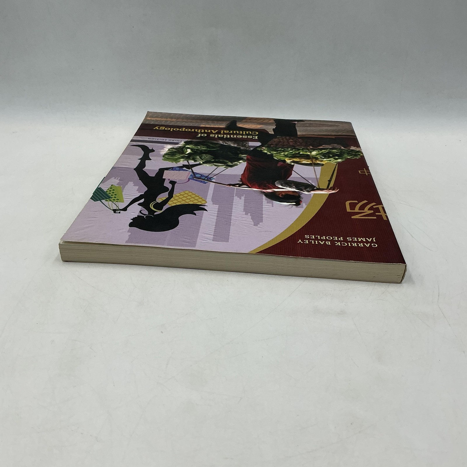ESSENTIALS OF CULTURAL ANTHROPOLOGY BAILEY PEOPLES 2014 PAPERBACK WADSWORTH