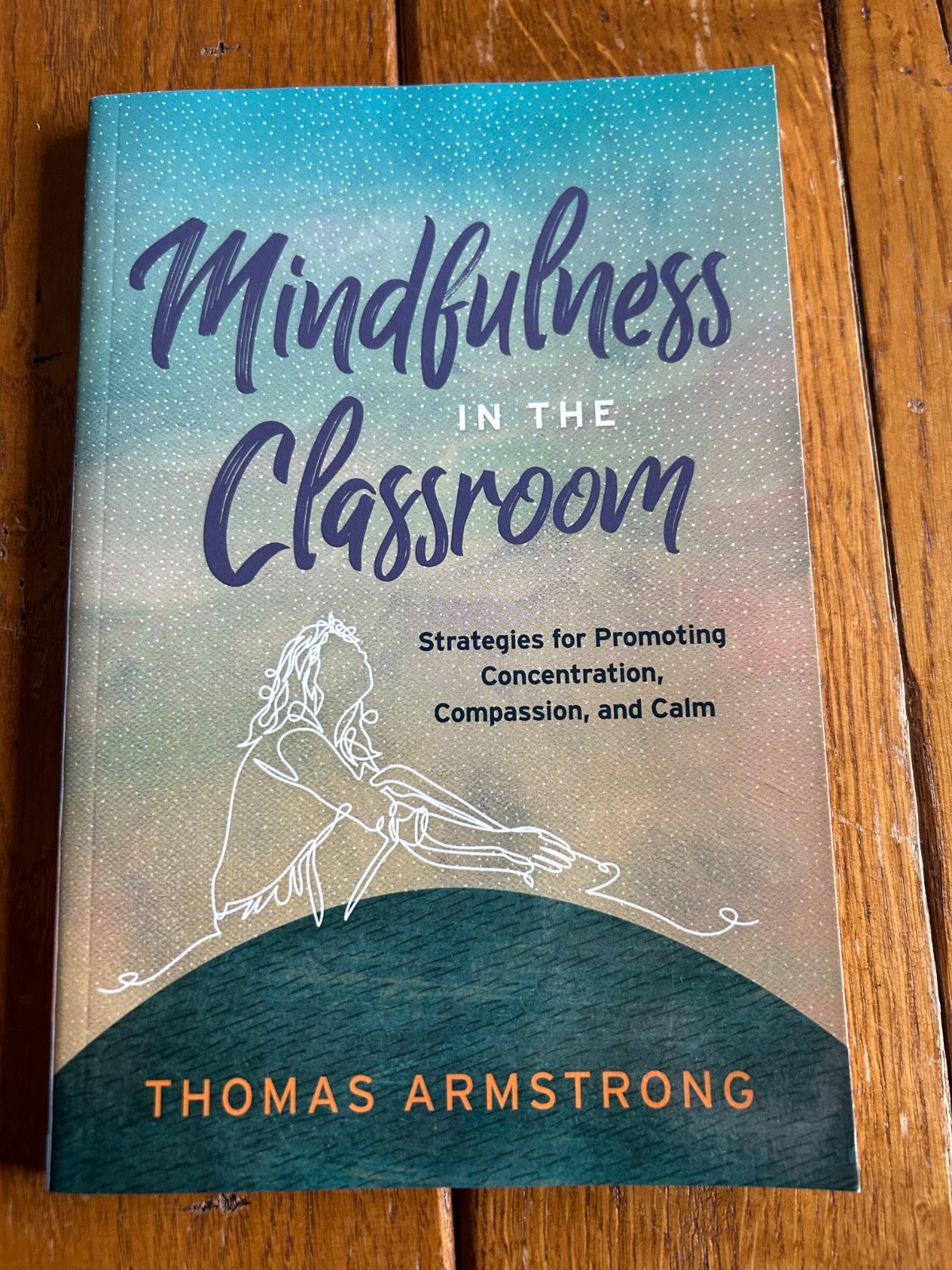 Mixed Lot of 4 Teacher/Student/Classroom Books Mindfulness Discipline