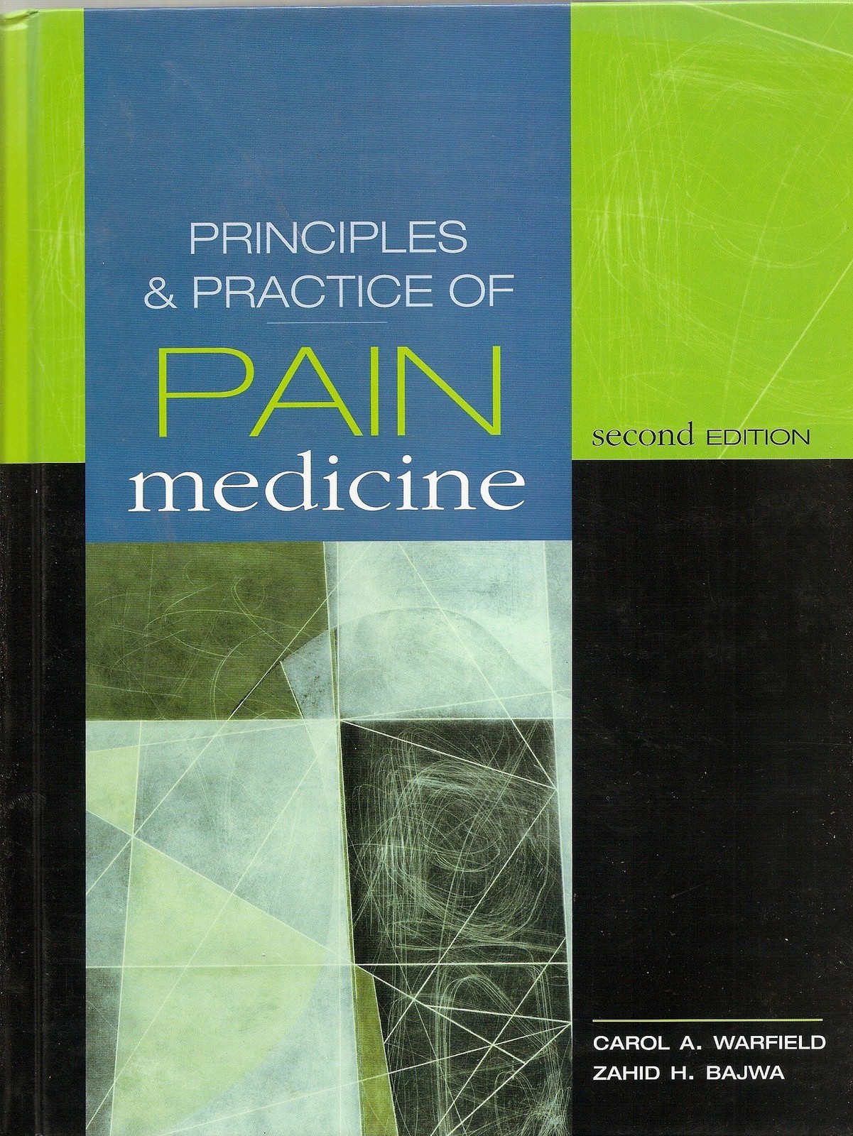 Principles & Practice of Pain Medicine: Second Edition