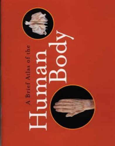 A Brief Atlas of the Human Body – Paperback By Hutchinson, Matt – VERY GOOD