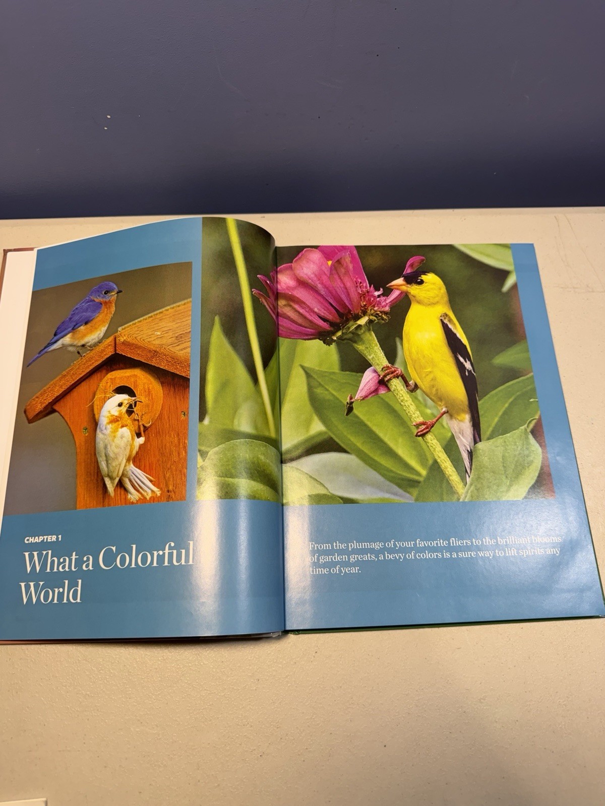 Birds Birds Birds (5): Boreal Birds of North America/Birds in Bloom/Canaries…