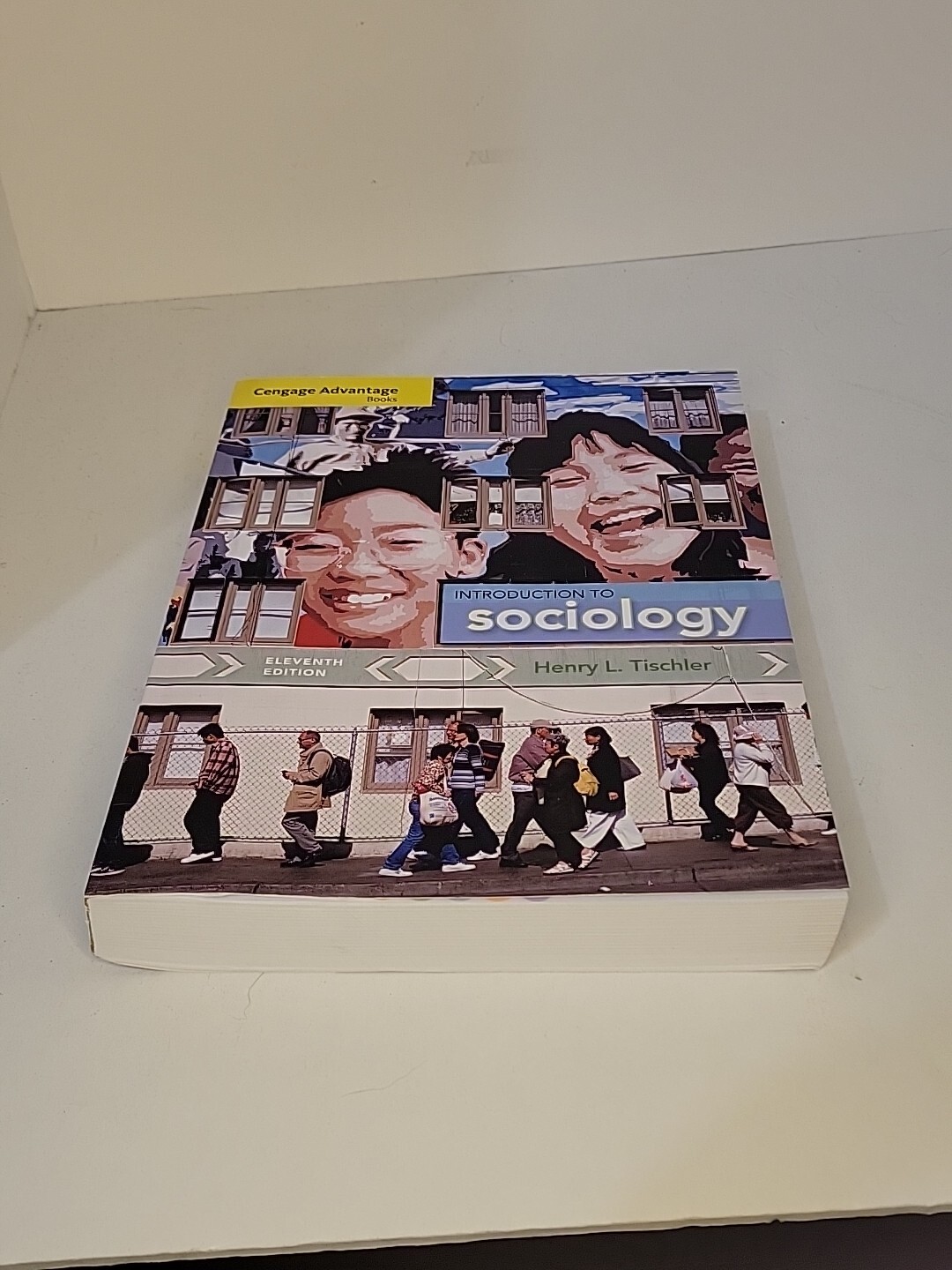 Introduction to Sociology 11th Edition by Henry L Tischler 2013 Paperback