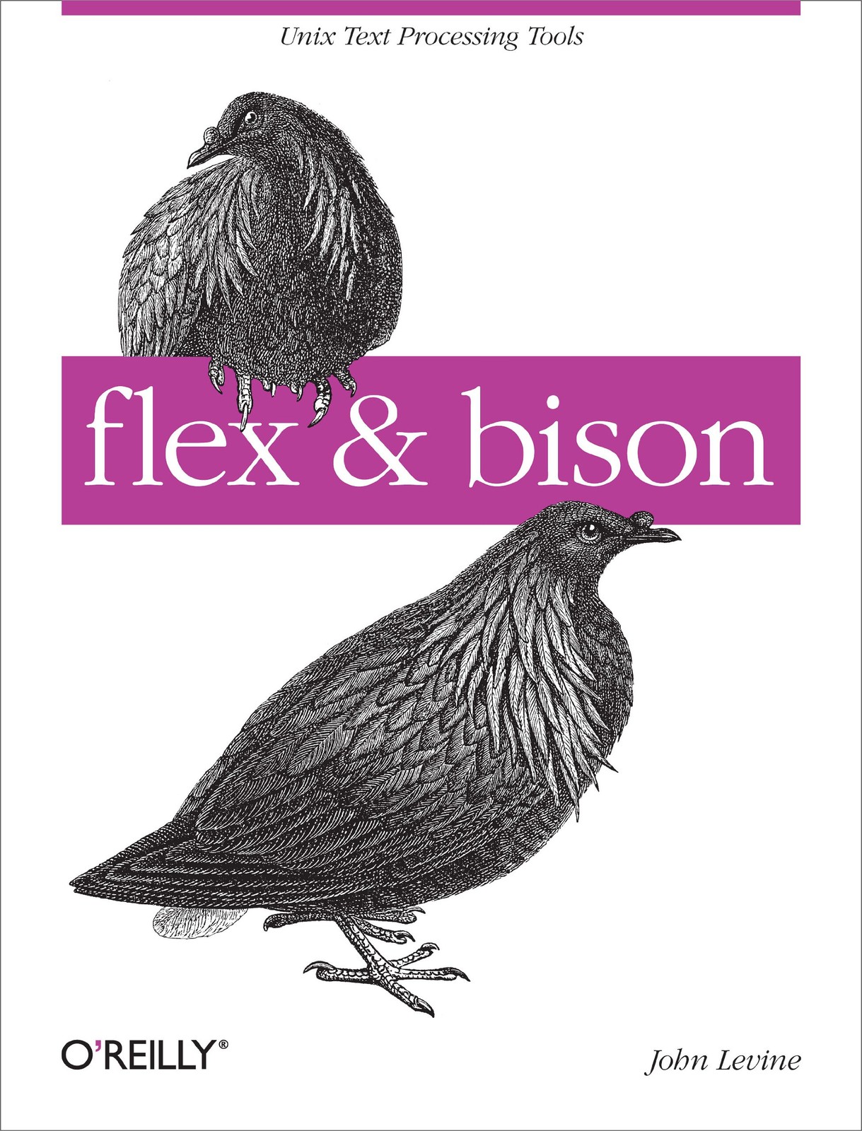 flex & bison: Text Processing Tools by Levine, John [Paperback]