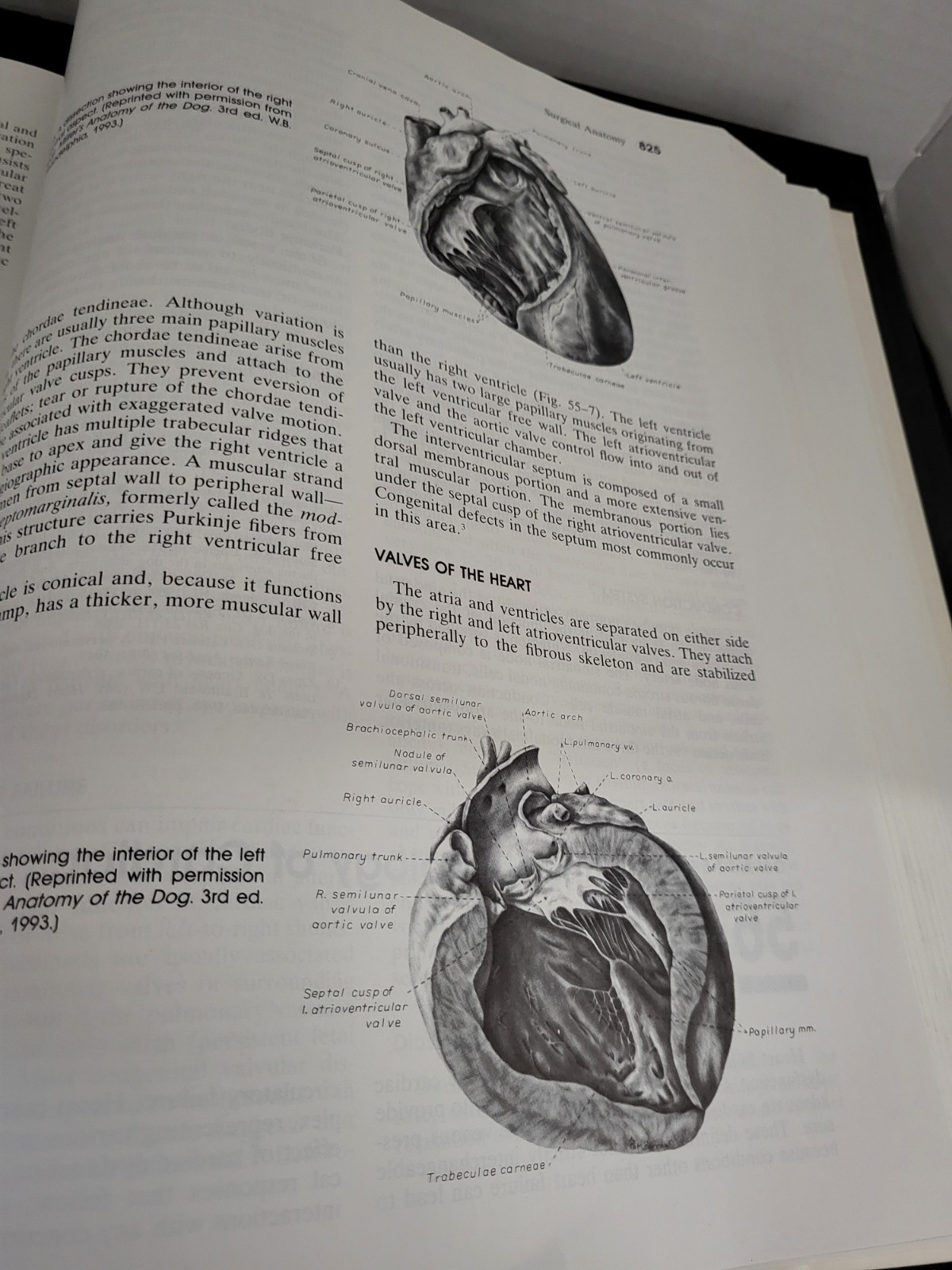 Textbook of Small Animal Surgery Volumes 1 & 2 Douglas Slatter Second Edition