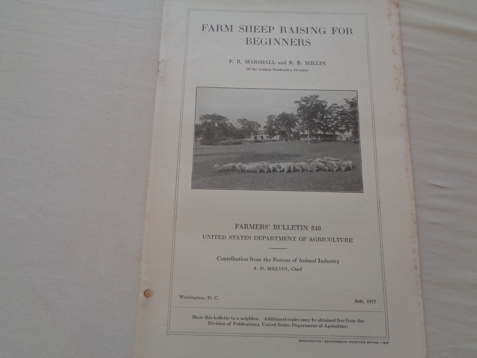 Farm Sheep Raising for Beginners by Marshall Millin 1917 Farmers Bulletin 840 US