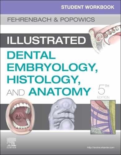 Student Workbook for Illustrated – Paperback, by Fehrenbach RDH MS – Very Good h