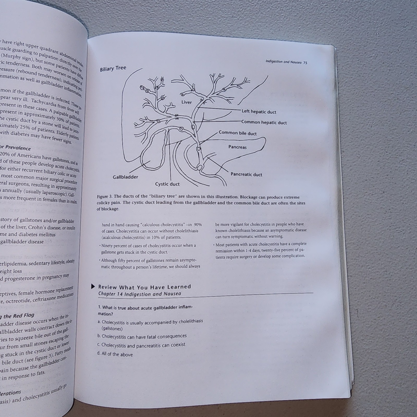 An Acupuncturist’s Guide to Medical Red Flags & Referrals