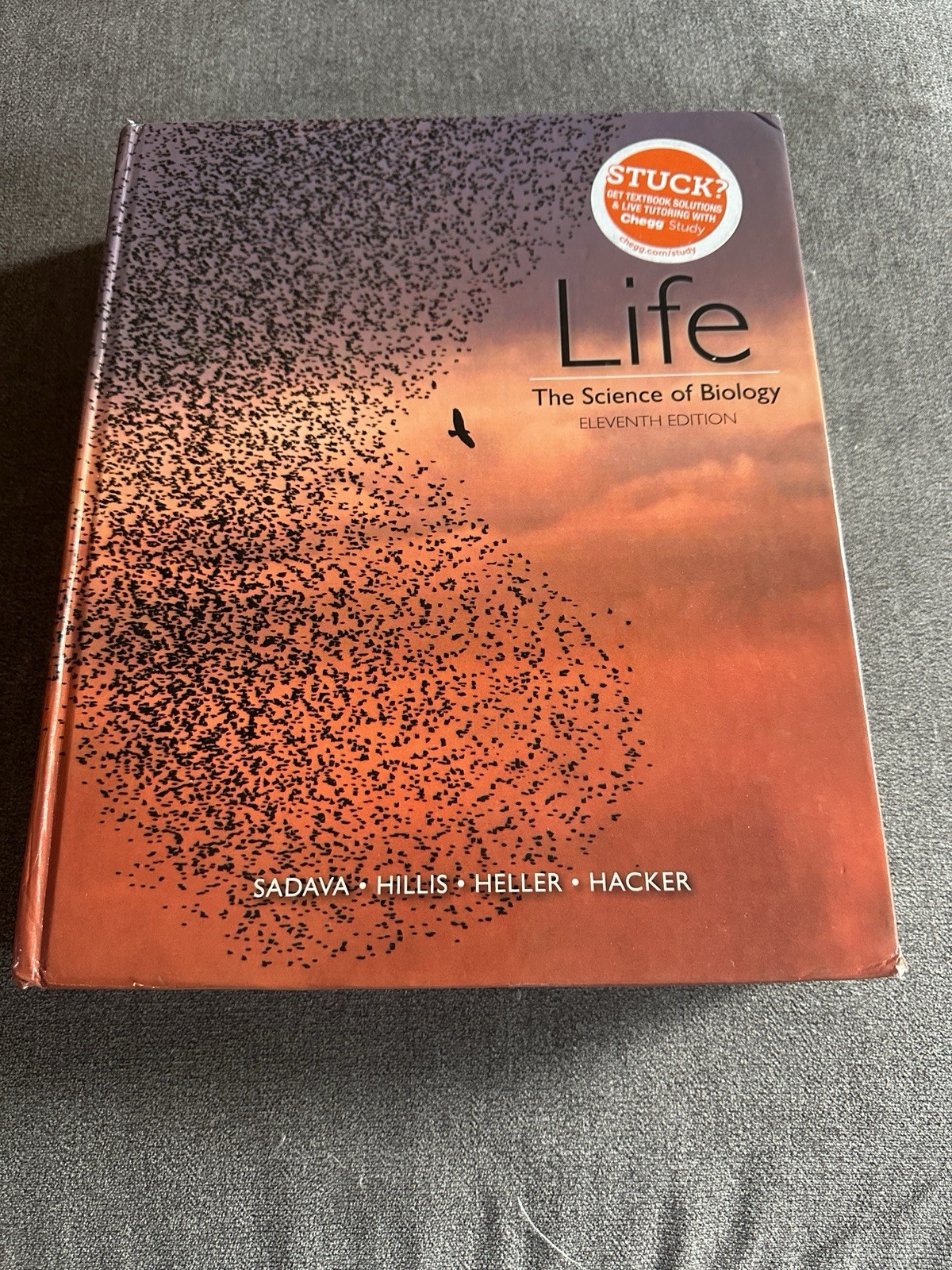 Life : The Science of Biology by Hacker, Sadava, Hills & Heller 2016, Hardcover