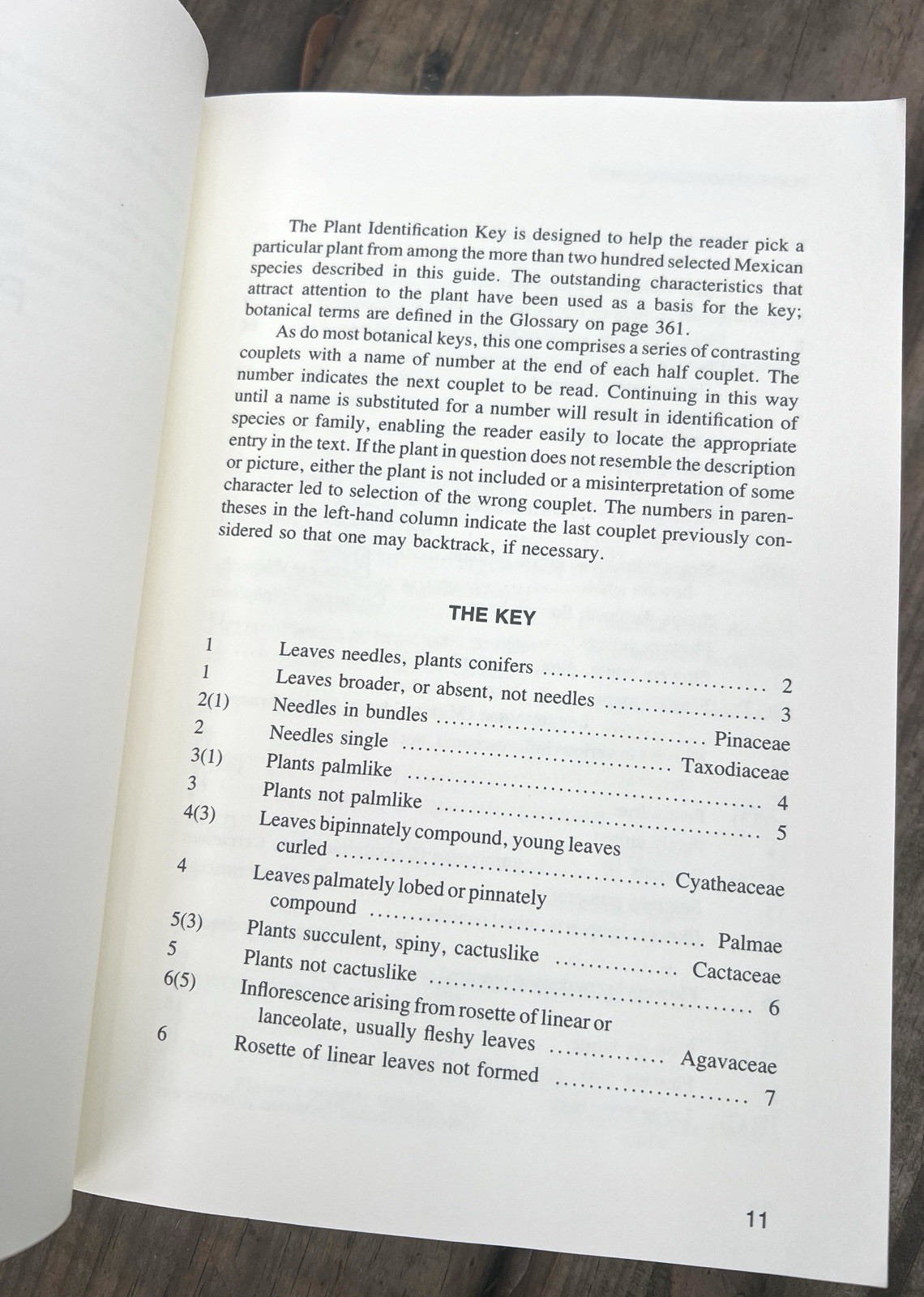 A Handbook of Mexican Roadside Flora 1987 Mason & Mason PB Identification Guide