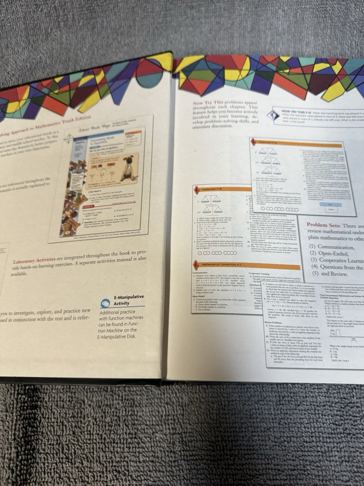 Problem Solving Approach to Mathematics for Elementary School Teachers 10th Edu