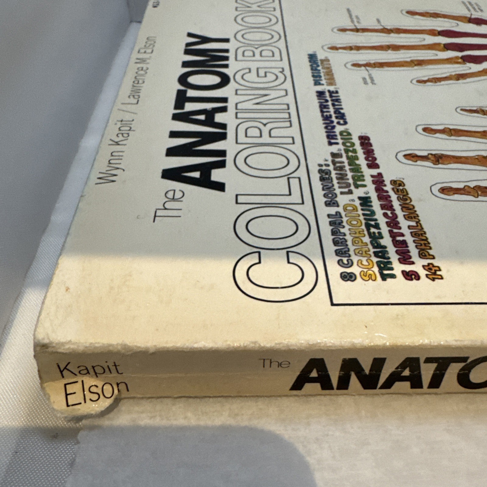 The Anatomy Coloring Book Paperback by Wynn Kapit Lawrence M. Elson – Spine Wear