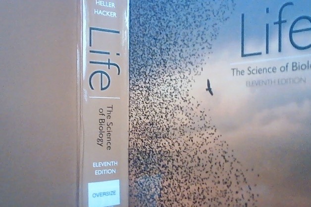Life : The Science of Biology by Sally D. Hacker, David Sadava, David M. Hillis