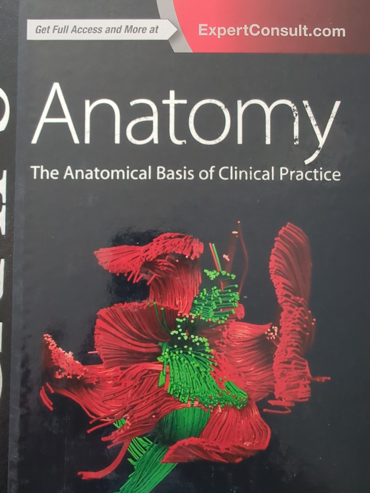 Gray’s Anatomy Ser.: Gray’s Anatomy : The Anatomical Basis of Clinical Practice