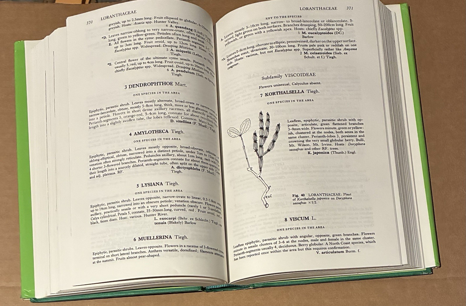 Flora of the Sydney Region Beadle, Evans, Carolin HC Book 1986 Botany Taxonomy