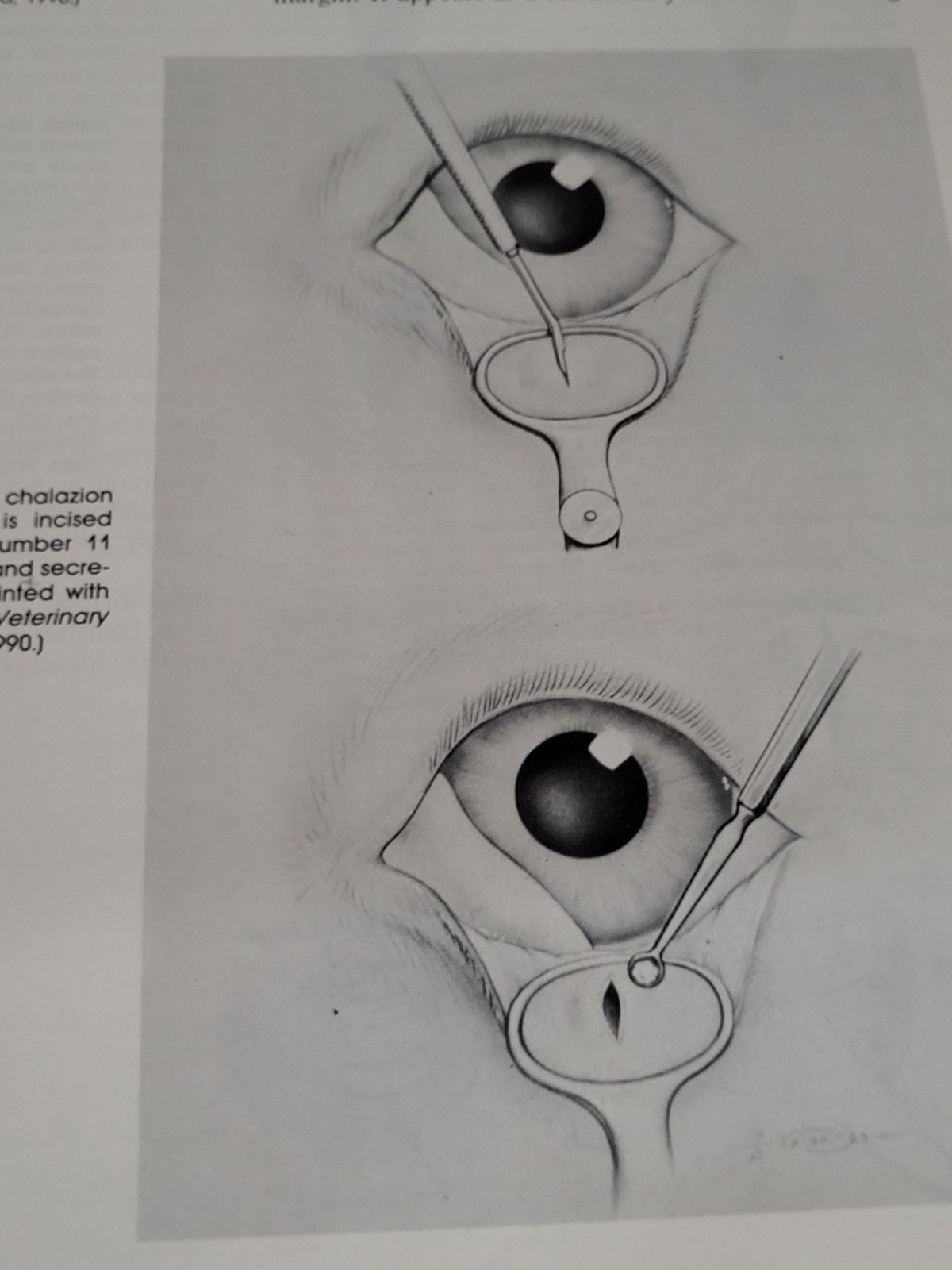 Textbook of Small Animal Surgery Volumes 1 & 2 Douglas Slatter Second Edition
