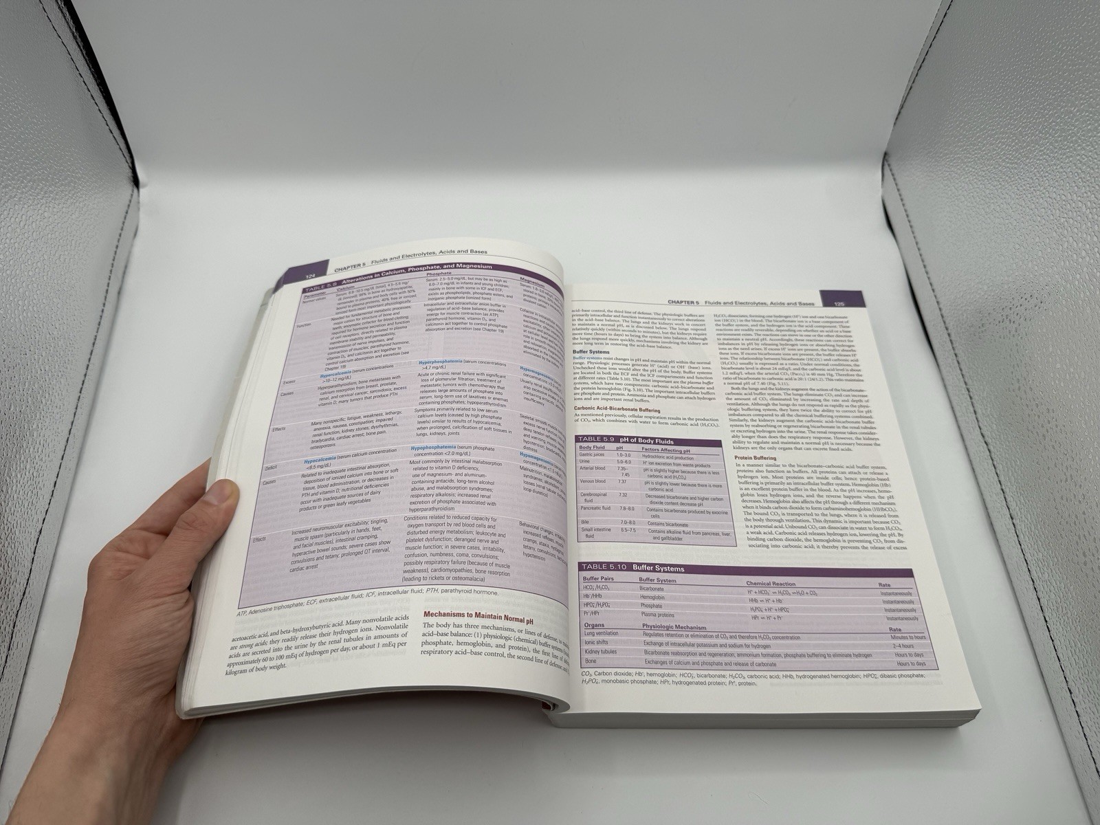 Understanding Pathophysiology 7th Seventh Edition ~CODE ~ GOOD Condition