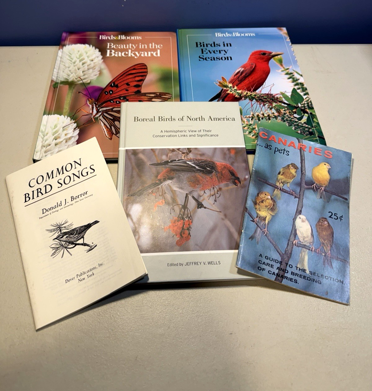 Birds Birds Birds (5): Boreal Birds of North America/Birds in Bloom/Canaries…
