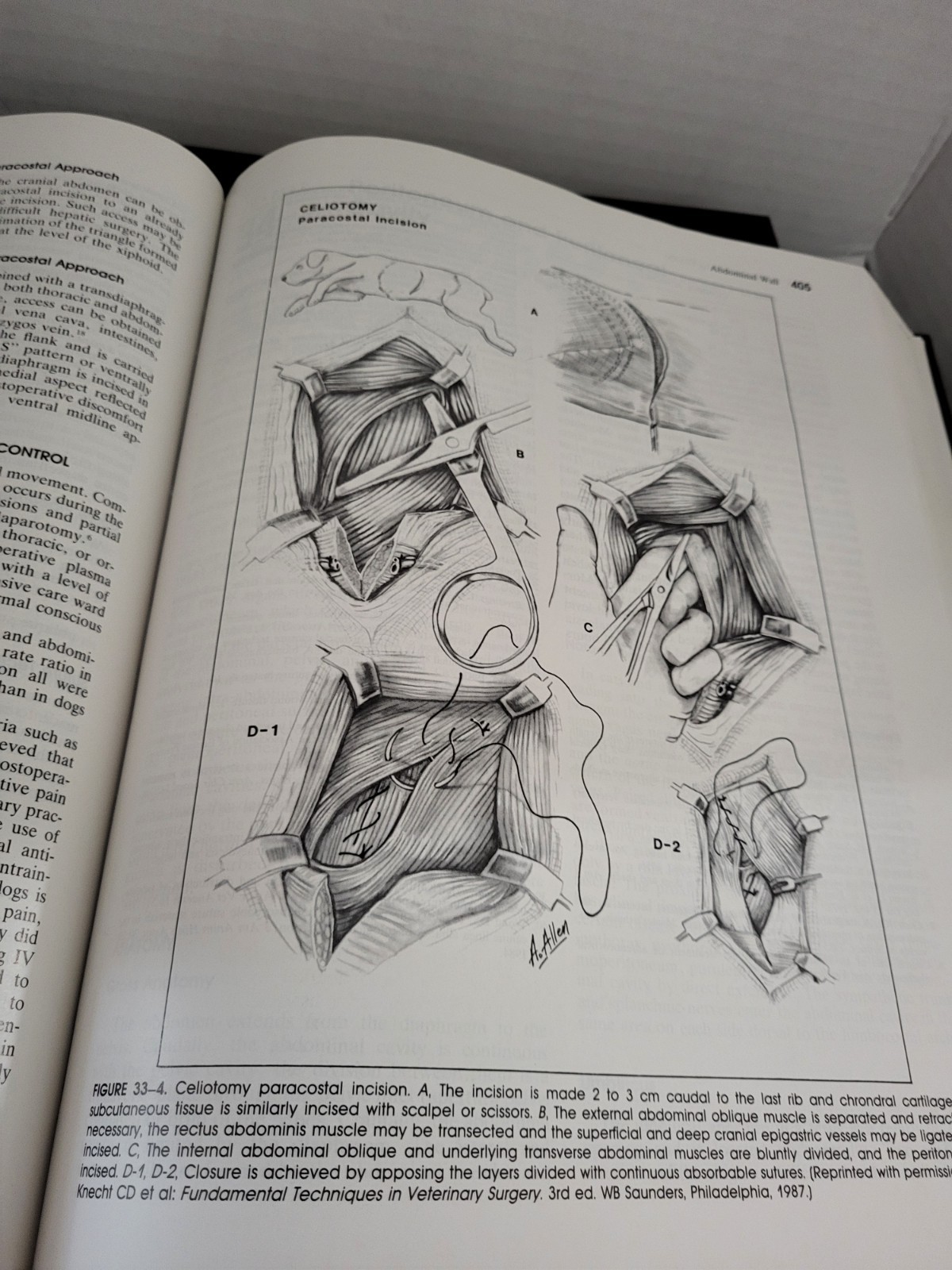 Textbook of Small Animal Surgery Volumes 1 & 2 Douglas Slatter Second Edition