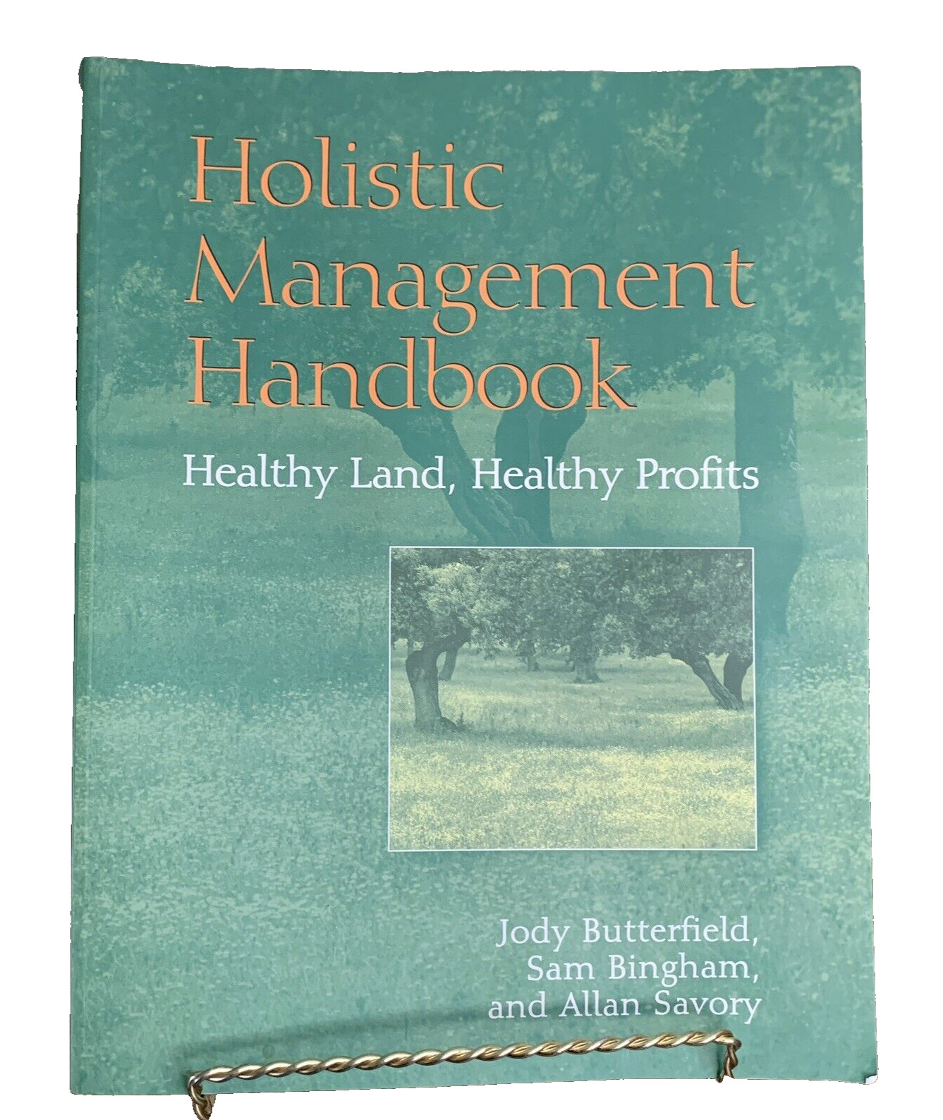 Holistic Management Handbook Healthy Land Profits Allan Savory Paperback 2006