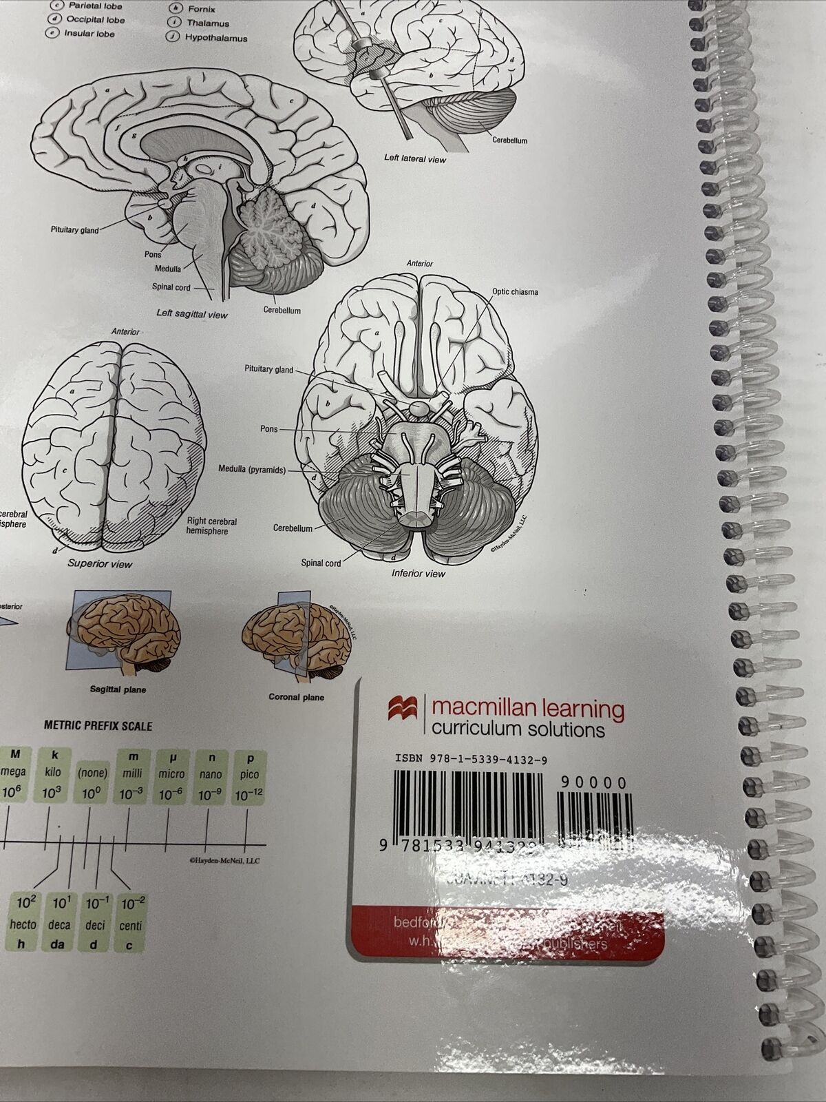 SET OF 2 BIPN 145 First Edition Biology Course Manual Workbook Spiral Bound