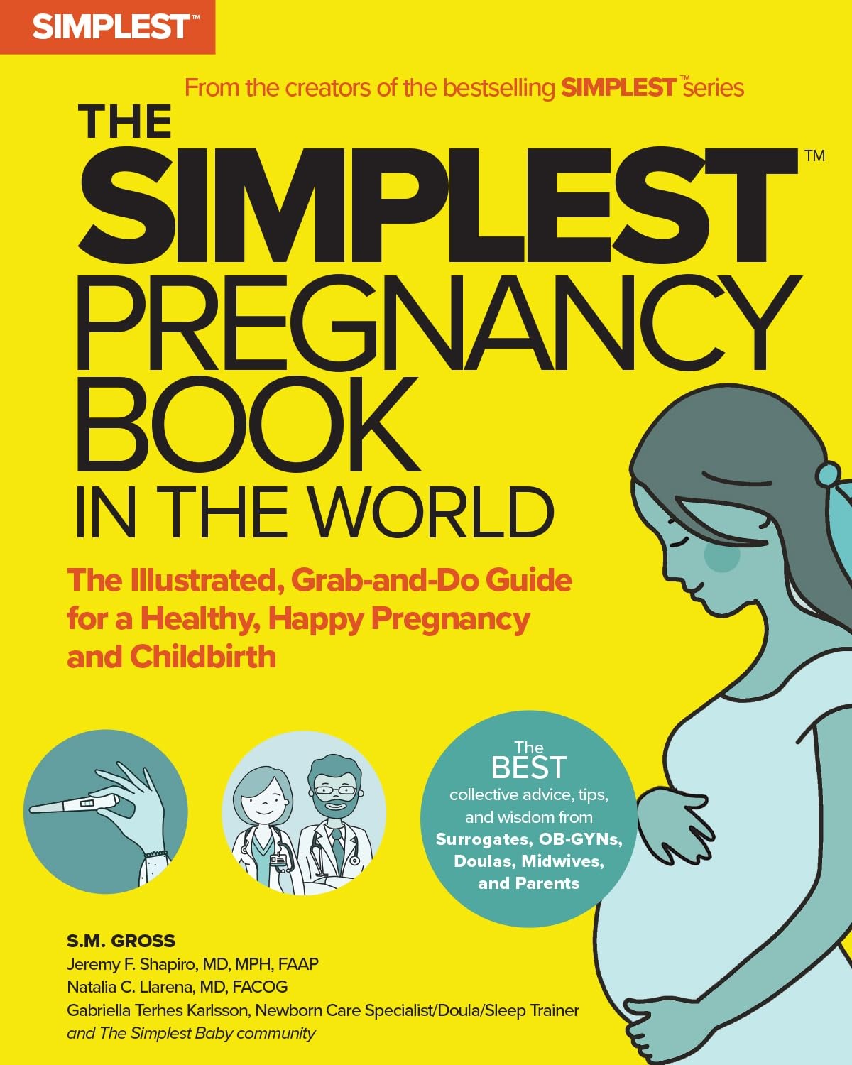 The Simplest Pregnancy Book in the World by S. M. Gross