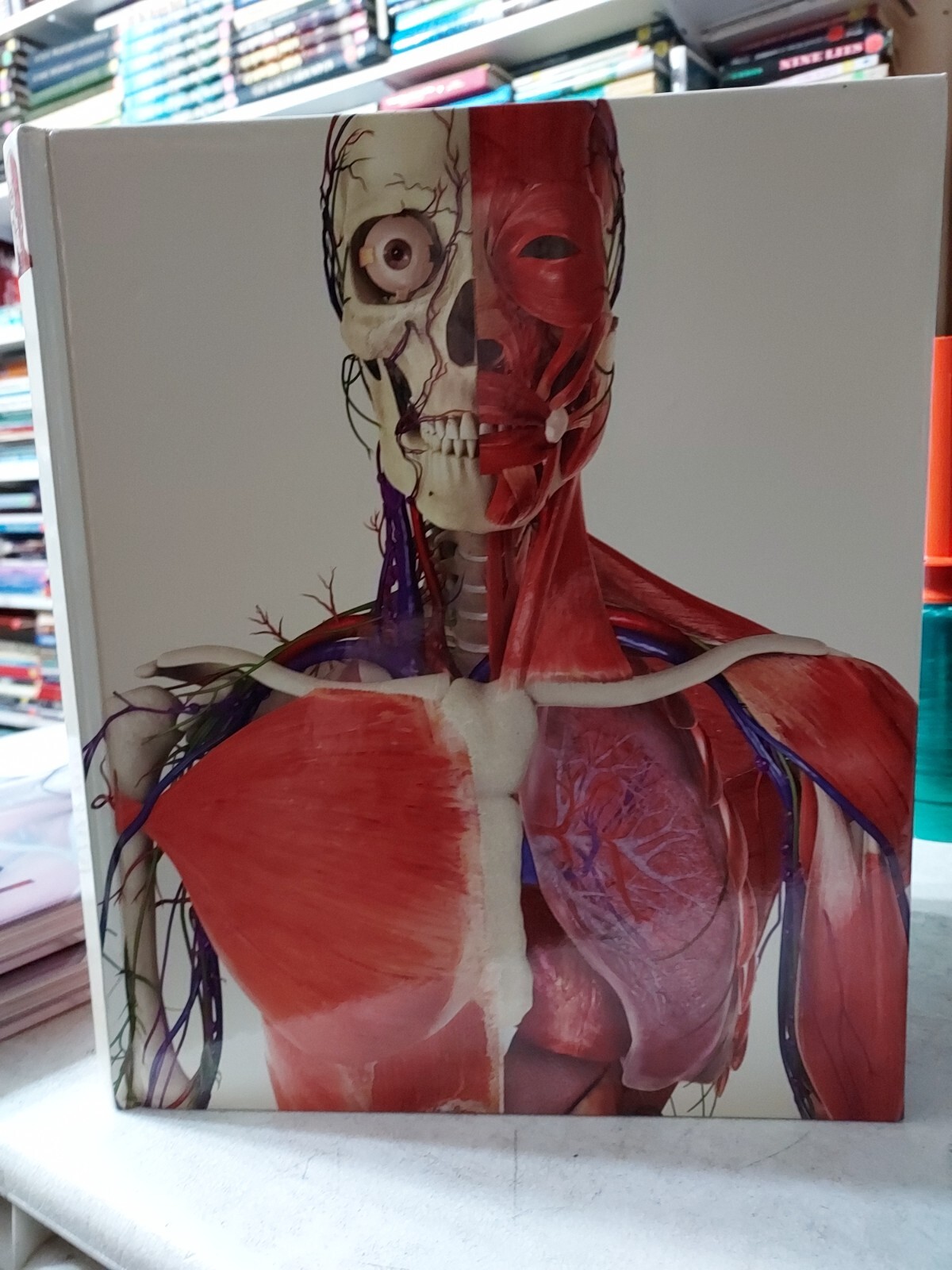 The Human Body Book by Steve Parker DK Publishing (2007,HC) T6D no DVD or DJ