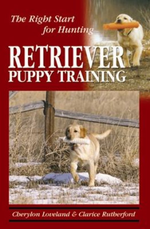 Retriever Puppy Training : The Right Start for Hunting Paperback