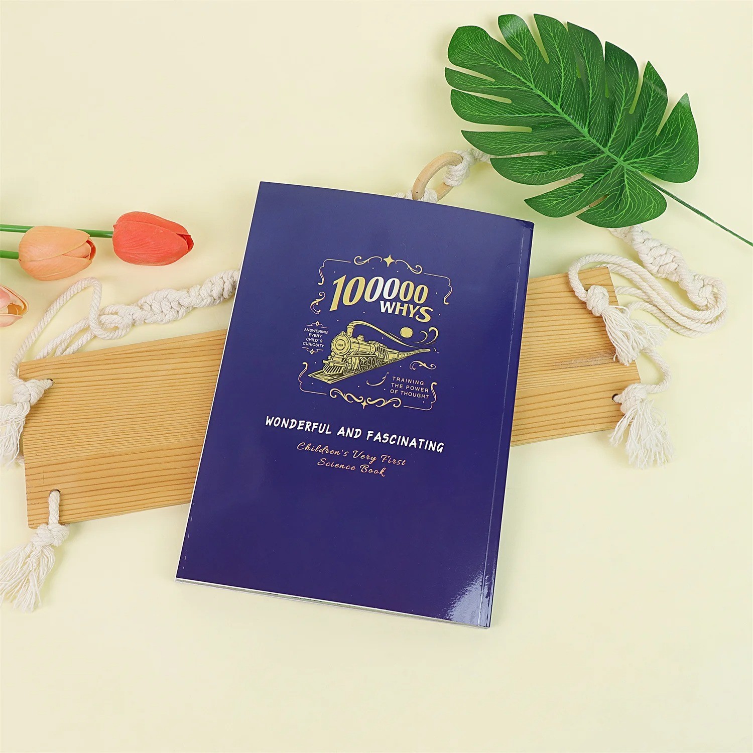 Children’s encyclopedia “Why 100,000?” Extracurricular reading for primary schoo
