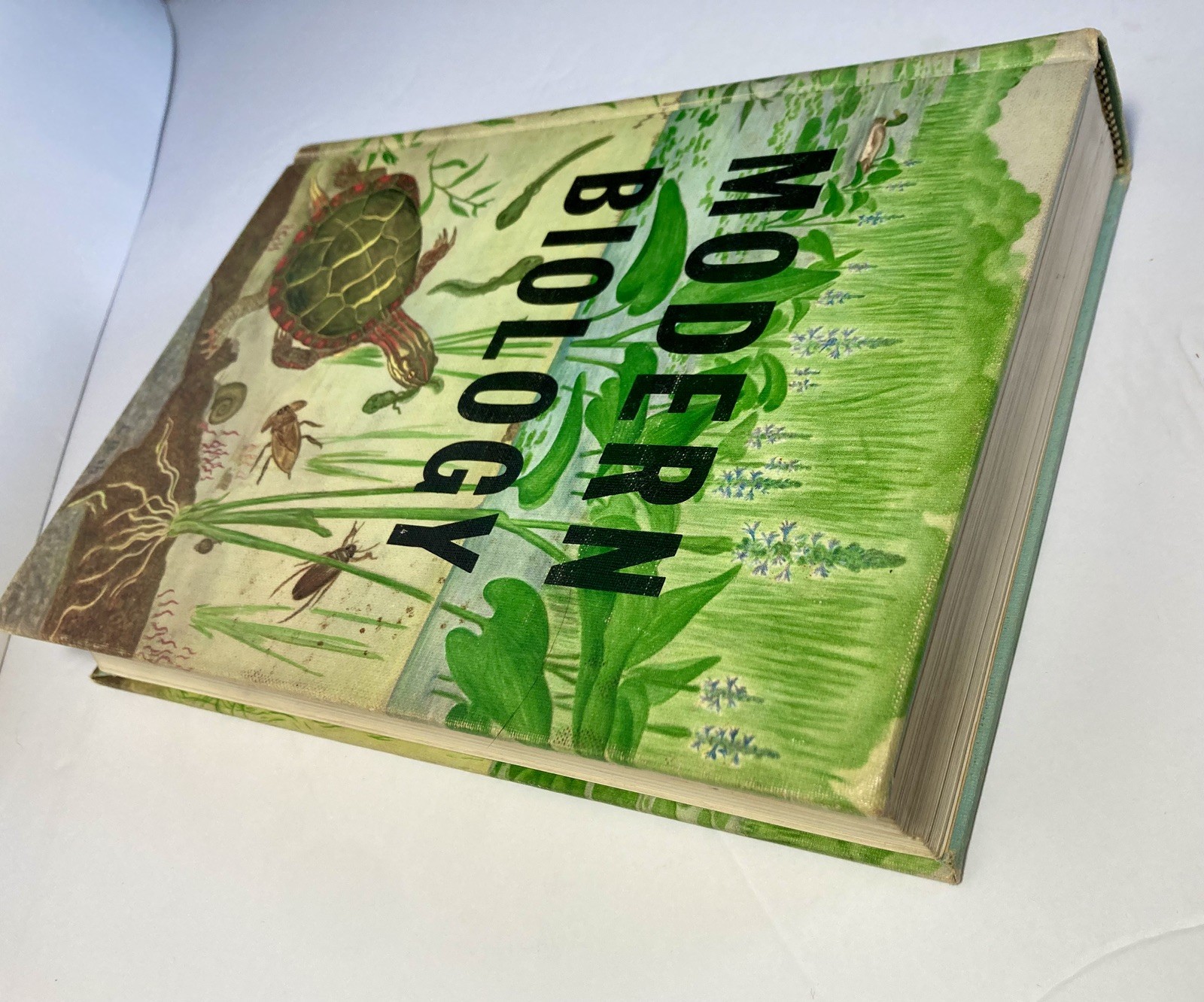 Vtg 1956 Modern Biology Textbook Green Hardcover Henry Holt Science Book EUC
