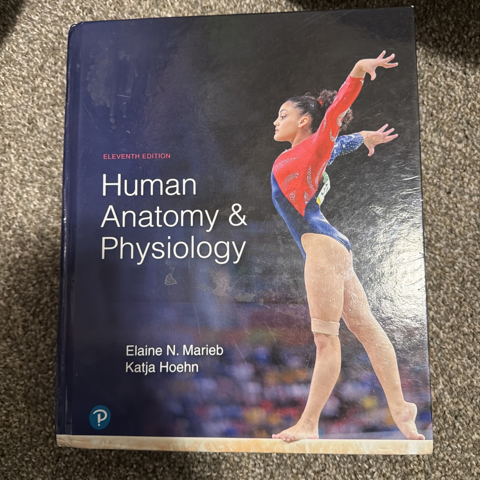 Human Anatomy and Physiology by Elaine Marieb and Katja Hoehn (2018, Hardcover)