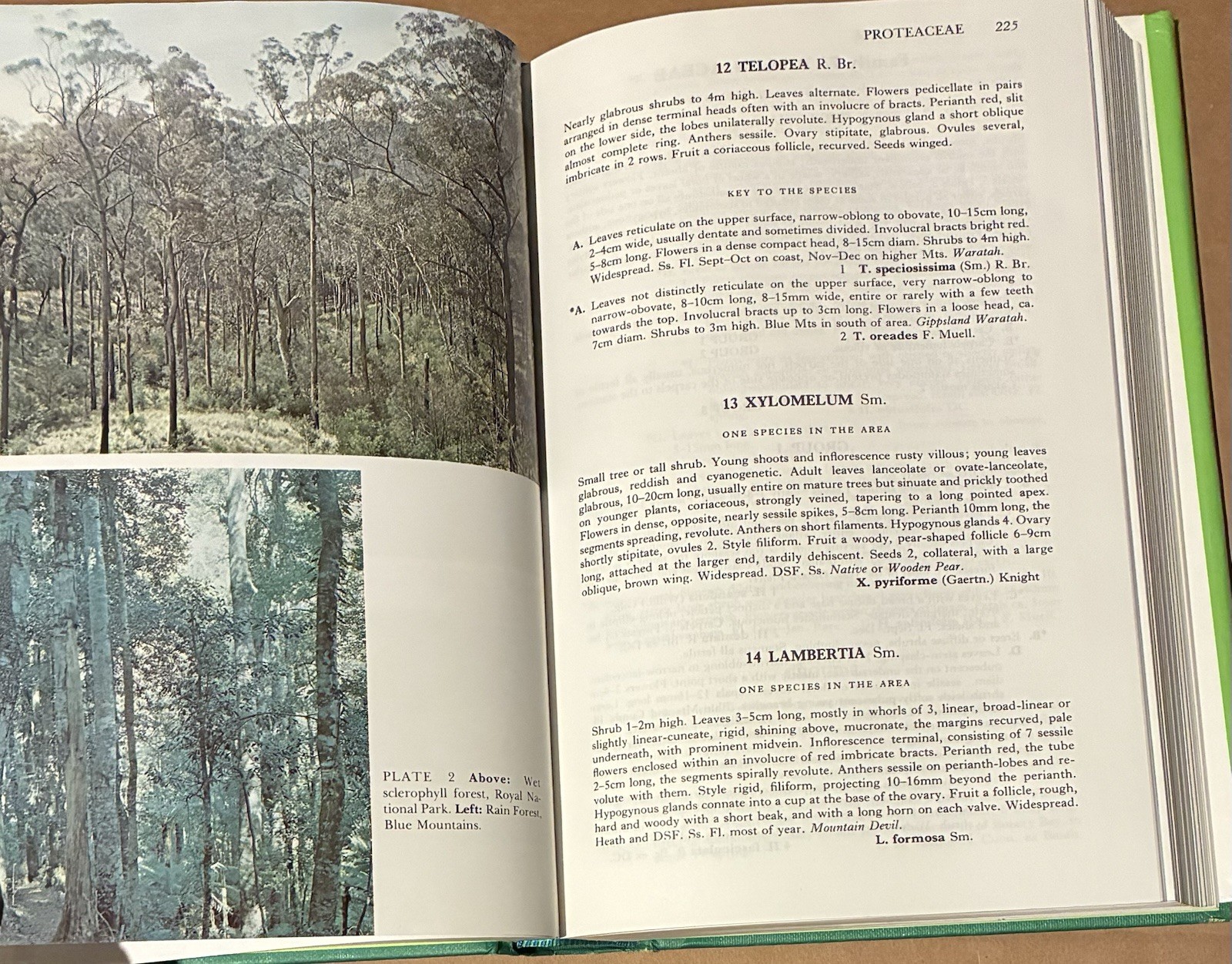 Flora of the Sydney Region Beadle, Evans, Carolin HC Book 1986 Botany Taxonomy