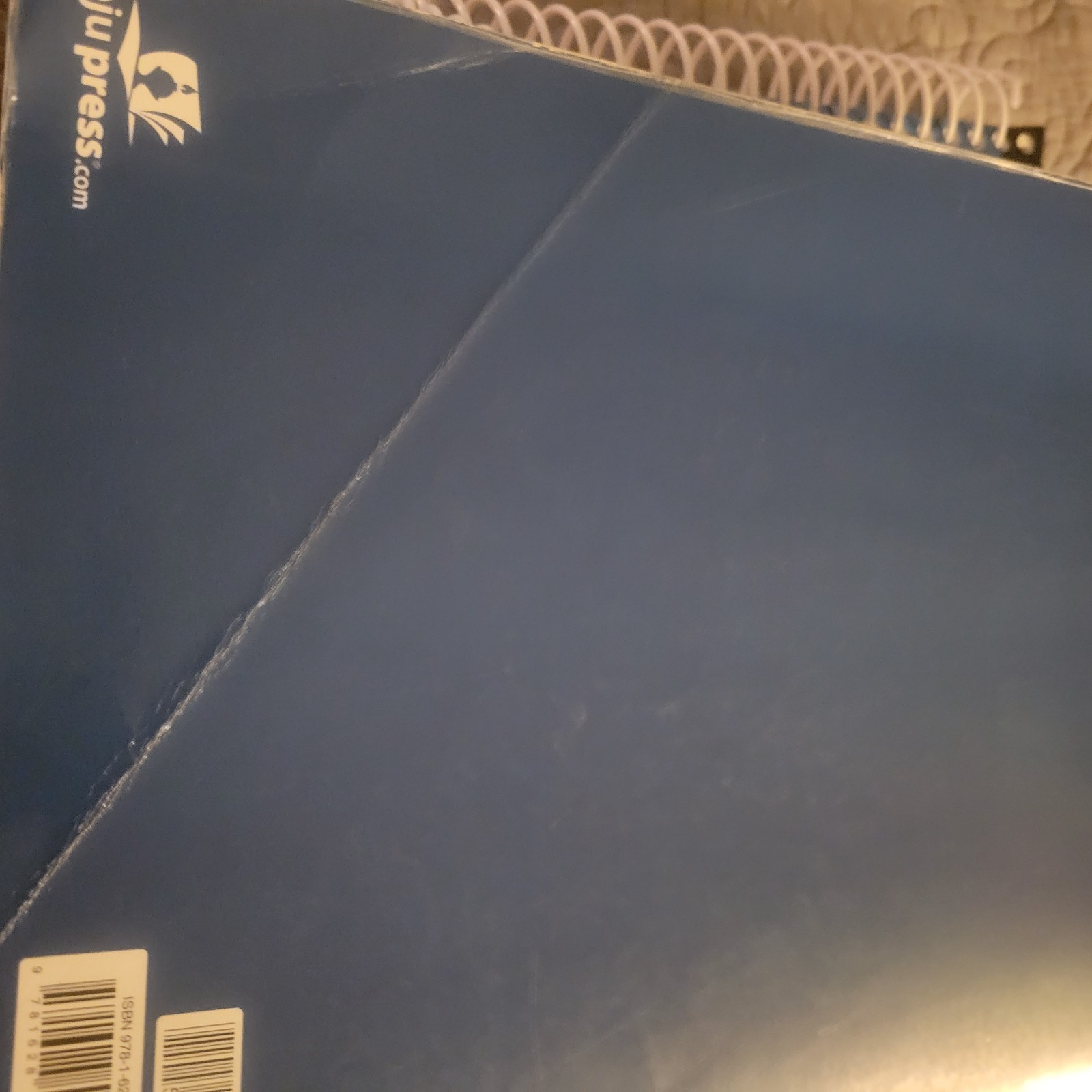 BJU Algebra 1 third edition.