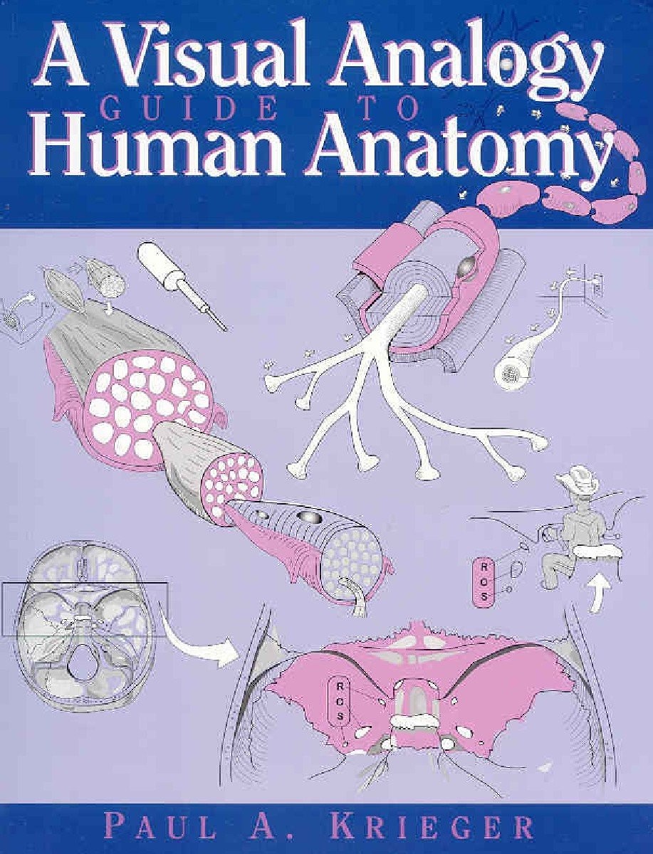 A Visual Analogy Guide to Human Anatomy – paperback Krieger, Paul A.