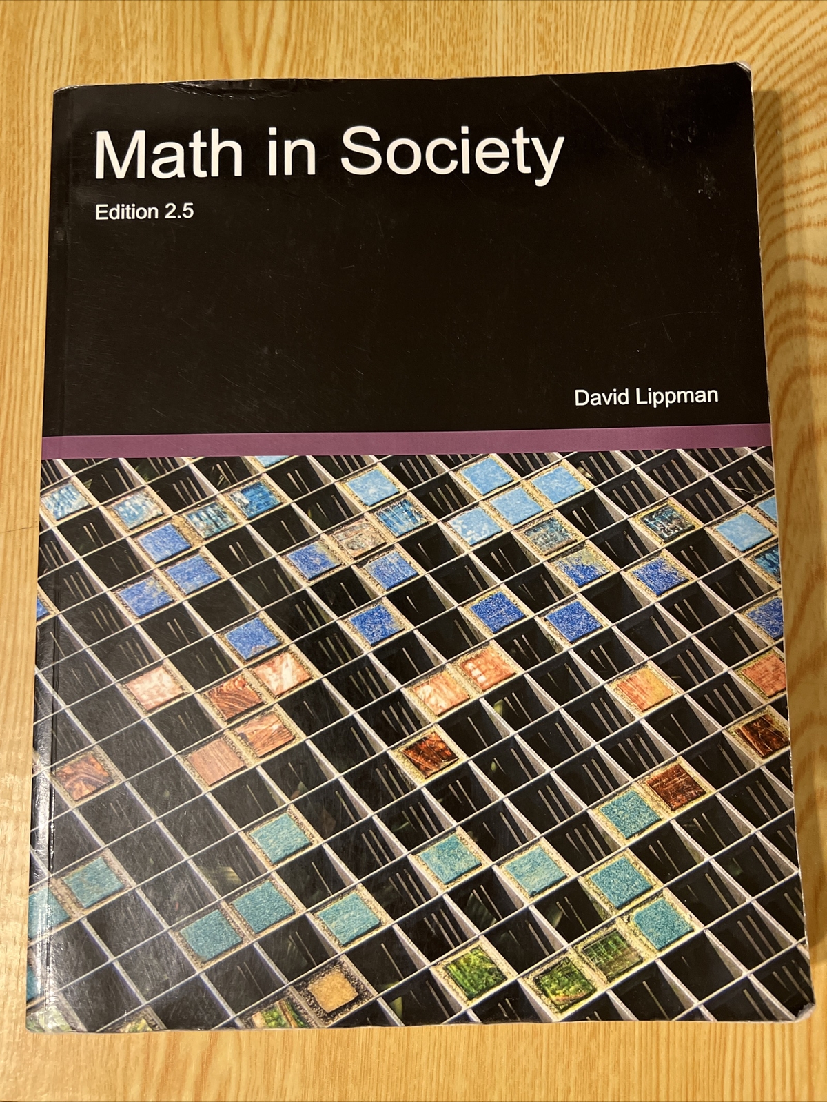 Math in Society Edition 2.5 By David Lippman