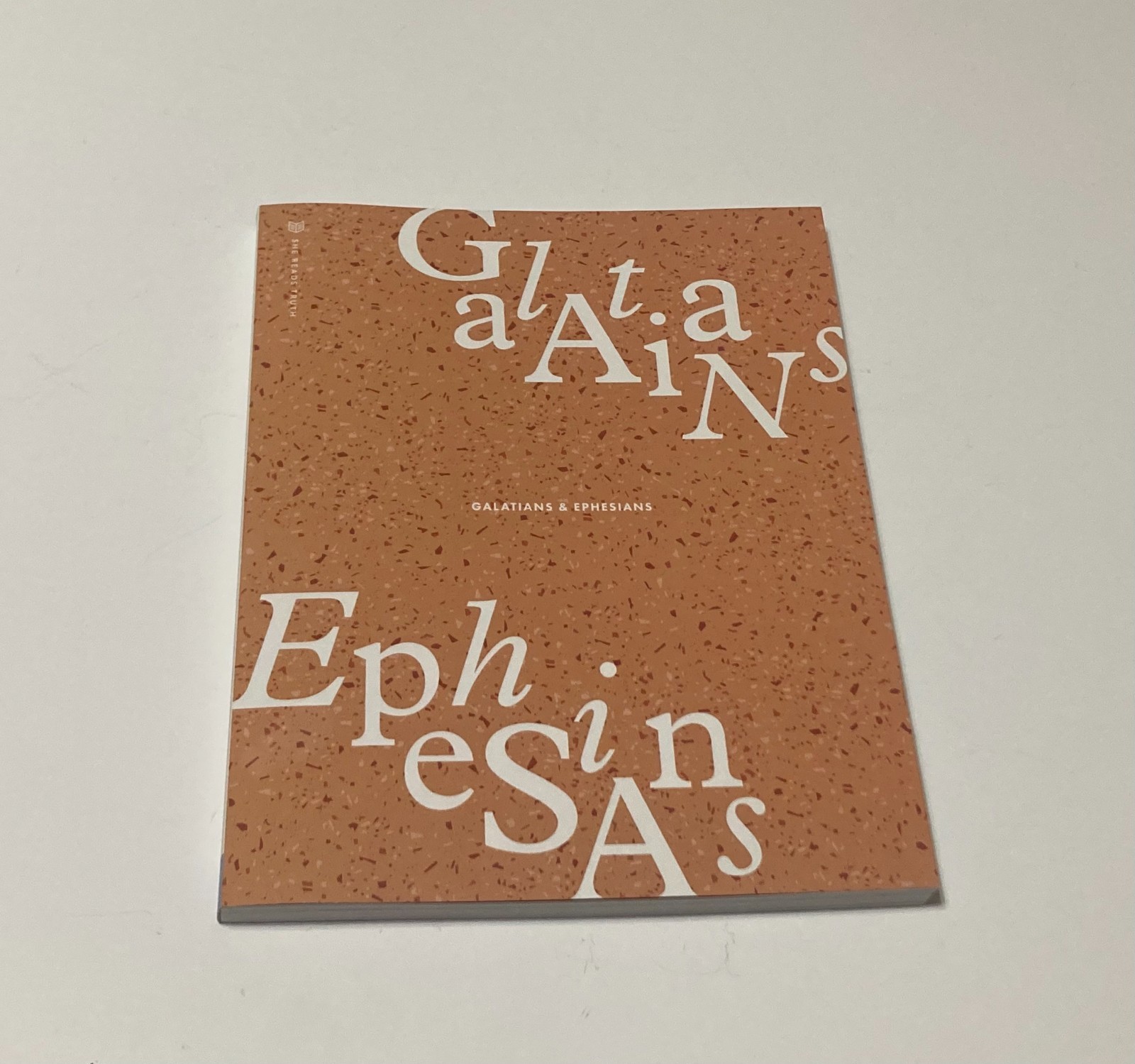 She Reads Truth Reading Plan- Philippians & Colossians and Galatians & Ephesians