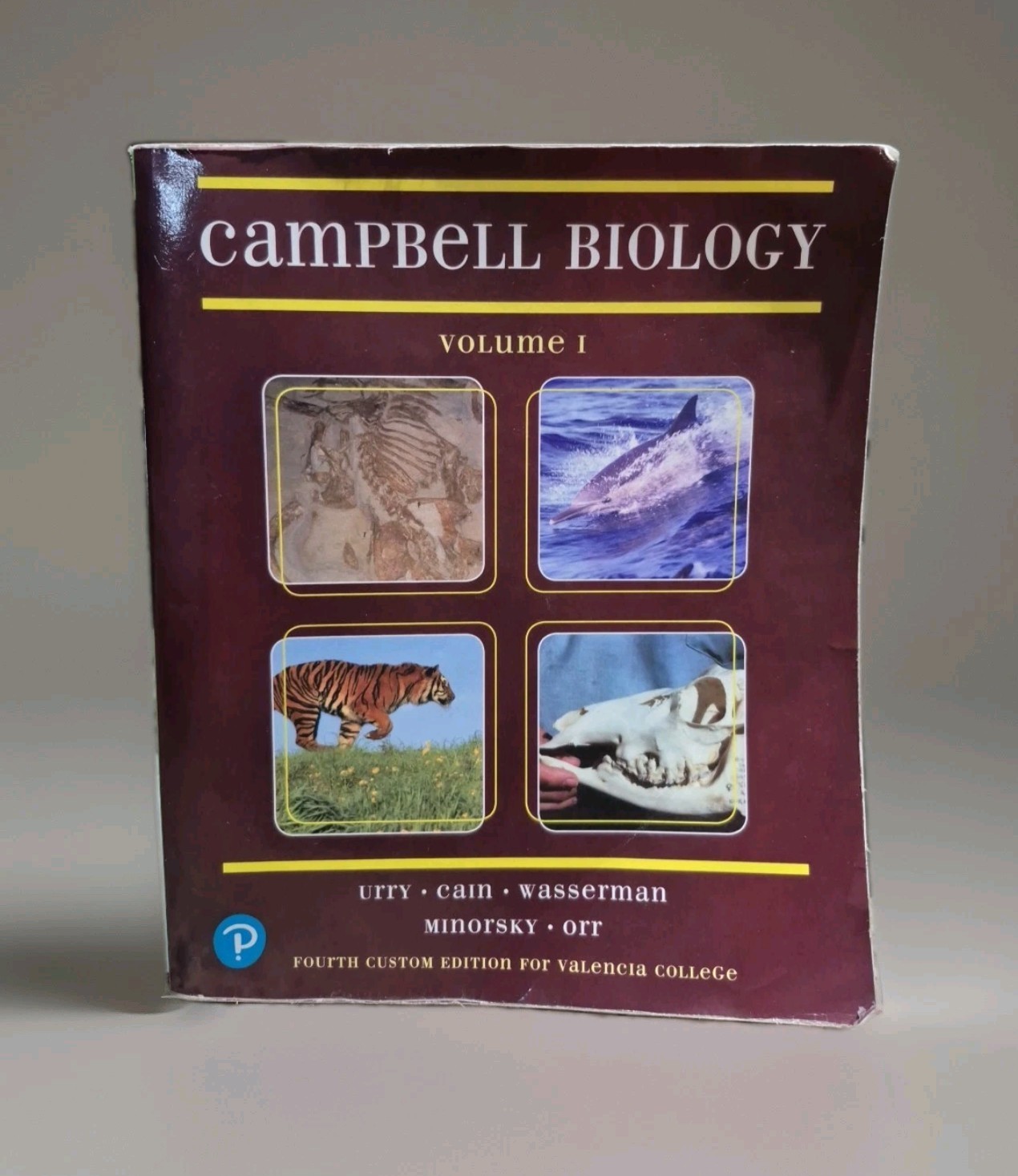 Campbell Biology Volume 1 – Fourth Custom Edition Valencia College | Text