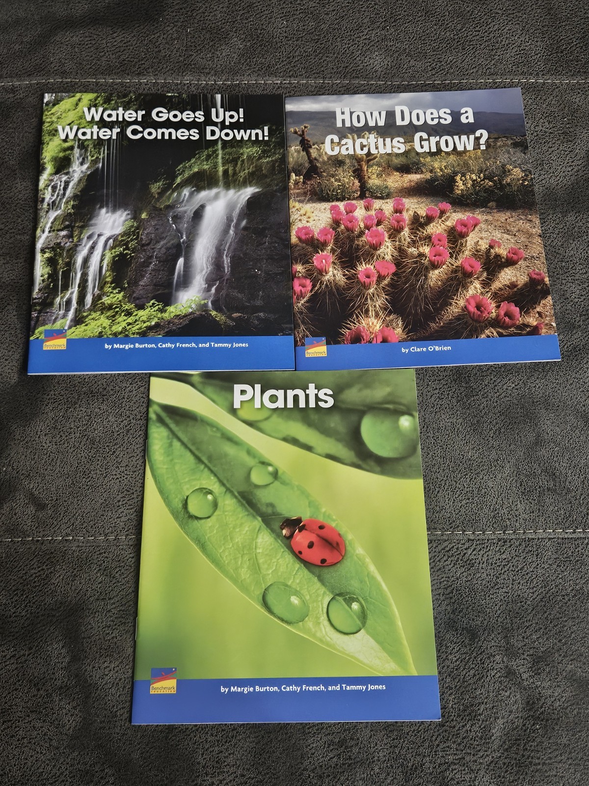 Benchmark Education Early Connections Soft 18 Page Books Easy Readers